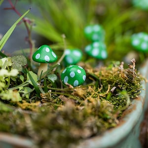 5pc Miniature Fairy Tiny Green Mushroom Fairy Garden Supplies & Accessories Terrarium Figurines