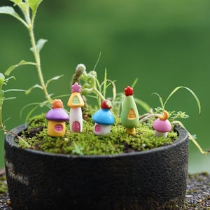 5pcs  Miniature Fairy Tiny Funny Colorful House Mushroom Fairy Garden Supplies & Accessories Terrarium Figurines
