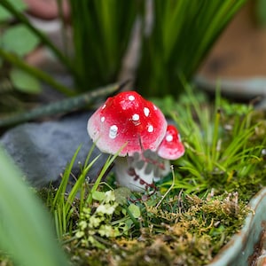 1PC Miniature Fairy Small Two-Mushroom Fairy Garden Supplies & Accessories Terrarium Figurines Pink