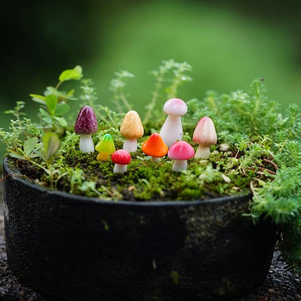Miniature Mushroom Figurines: Fairy Garden Terrarium Accessories
