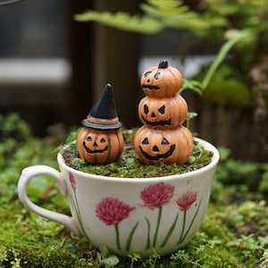 Set mit 2 Stück Miniaturen Tiny Pumpkin Feen Fairy Garden Lieferungen & Zubehör Terrarium Figuren