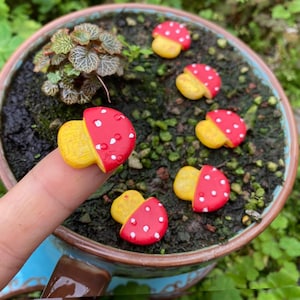 10 Stück Miniatur Fee kleine rote Pilz Form Schritte Fairy Garden Lieferungen & Zubehör Terrarium Figuren