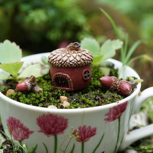 May include: A miniature acorn house with a brown roof and red brick walls sits in a white teacup filled with moss and small plants. The teacup has a floral pattern and a handle.