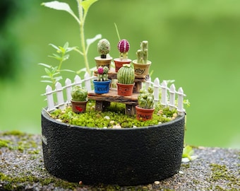 Miniature Fairy Tiny Cactus Vase and Chair Fence Fairy Garden Supplies & Accessories Terrarium Figurines