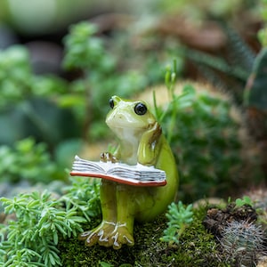 Miniature Fairy Little Animal Reading Book Animal Figurines Fairy Garden Supplies & Accessories Terrarium Figurines
