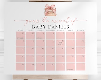 A New Chapter Begins Baby Shower Due Date Calendar Sign | Editable Digital Printable Template Instant Download | Pink Bow Books B82