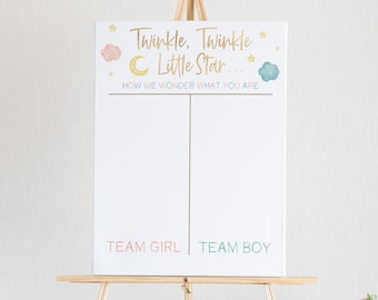 Twinkle Twinkle Little Star How We Wonder What You Are Gender Reveal Voting Sign | Gender Reveal Party Vote Board | A32