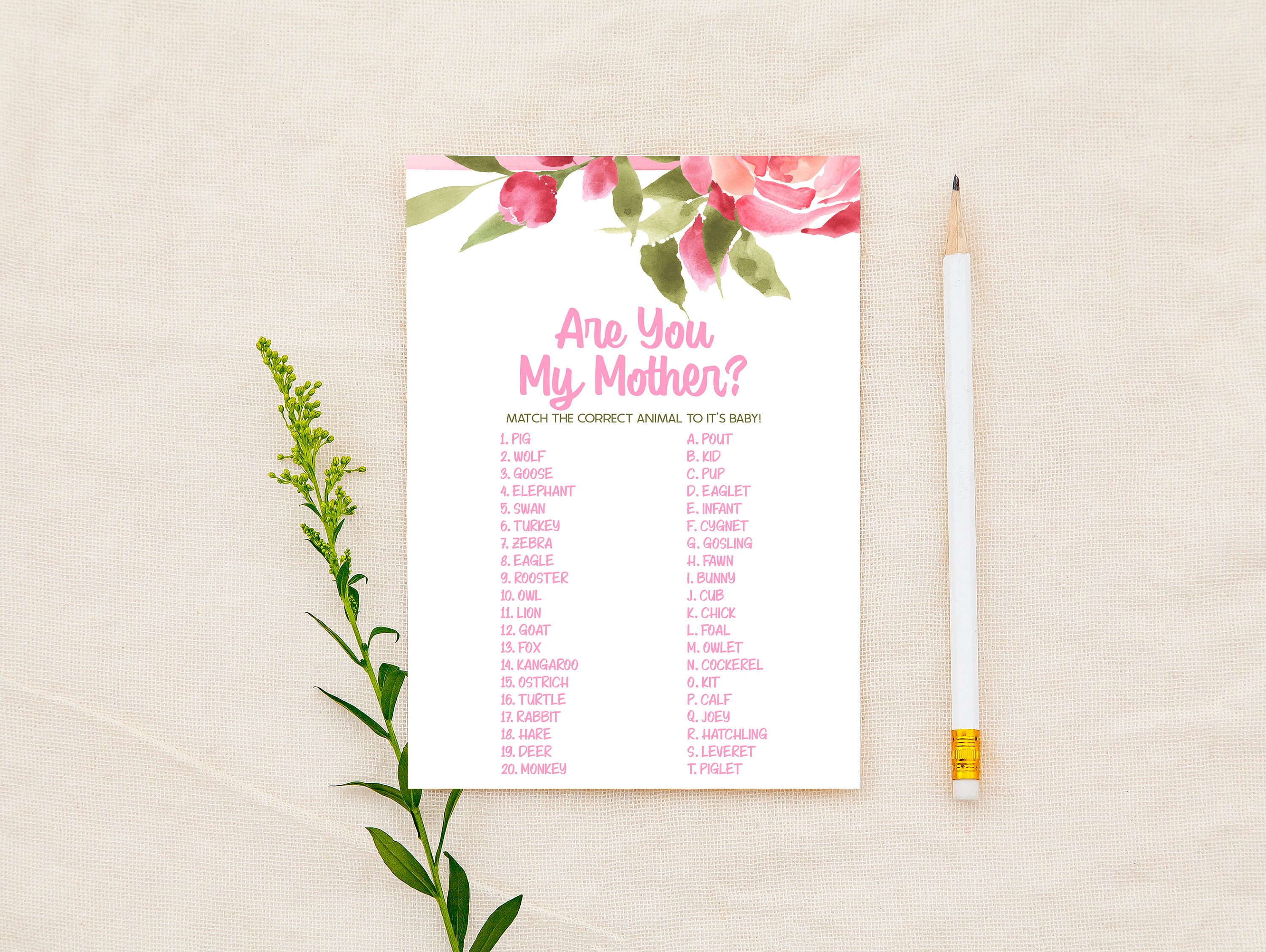 Are You My Mother Baby Shower Game Pink Floral Baby Girl Etsy