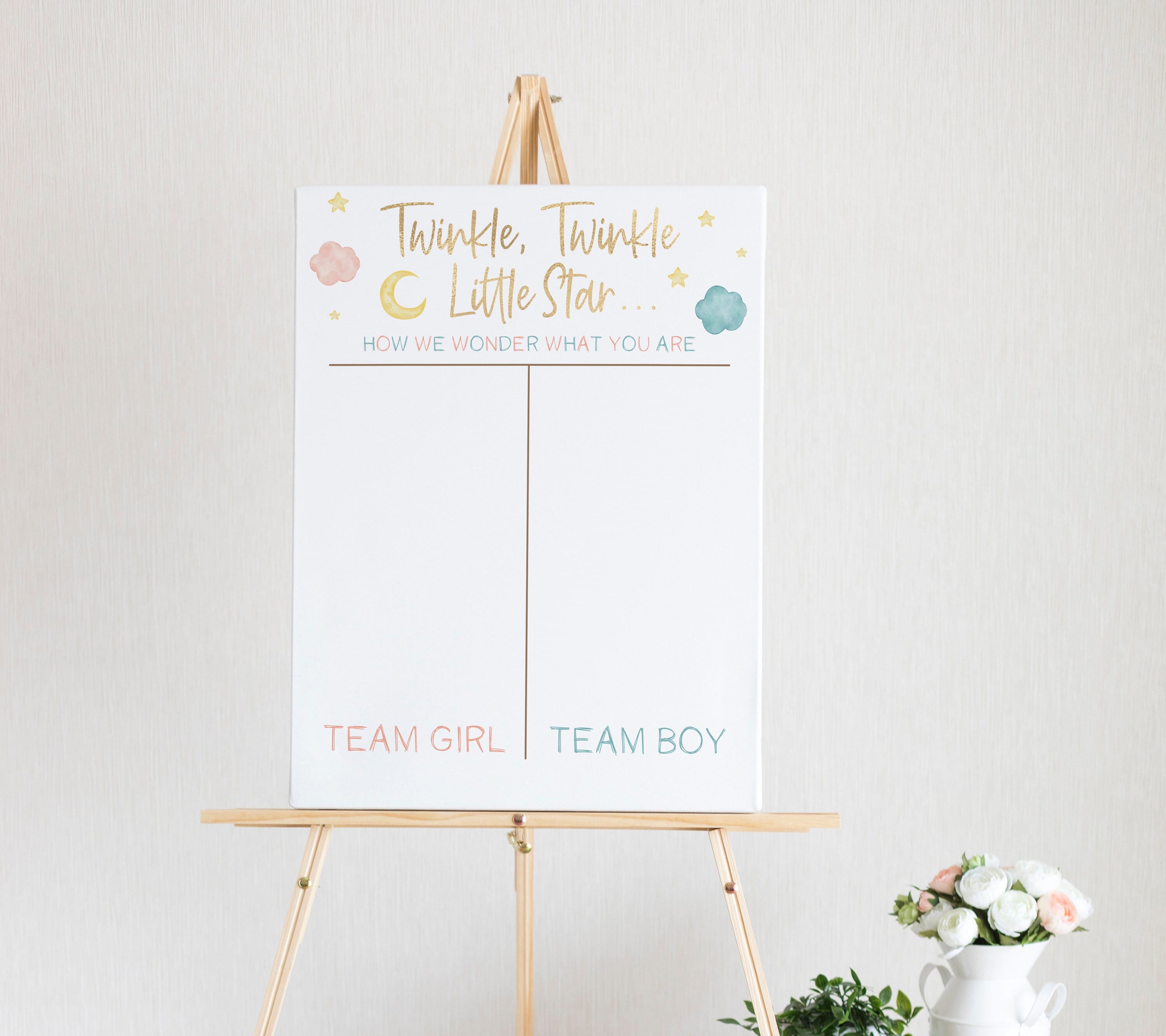 Twinkle Twinkle Little Star How We Wonder What You Are Gender Reveal Voting Sign | Gender Reveal Party Vote Board | A32