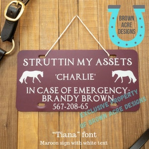 12"x6" Custom Horse Stall Sign, Personalized In Case of Emergency Equine Stall Plate, Emergency Contact Stall Sign, Horse Show Stall Sign