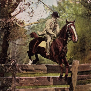 Um passeio cross-country no Canadá Horse Jumping Fence Jumper Rider Cartão postal não utilizado Y2