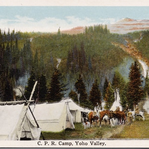 CPR Camp Yoho Valley BC Along Canadian Pacific Railway Unused Postcard Y2