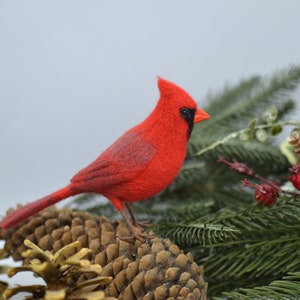 Needle Felted red cardinal. Realistic red cardinal. Gift decoration wool cardinal bird decor. Bird ornaments Christmas