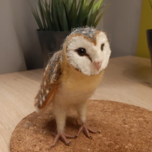 Needle felted barn owl. Realistic Owl. Needle felted animals gift Christmas. owl real wool