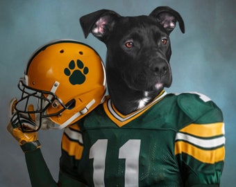 custom dog football jersey