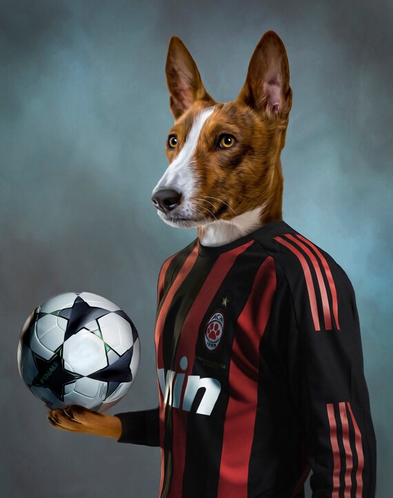 Buy Dog Soccer Jersey Online In India -  India