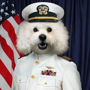 Custom Pet Portrait in navy uniform, sailor, captain, United States Navy, Navy commissioned officer, Pet gift,  Pet Memorial Portrait
