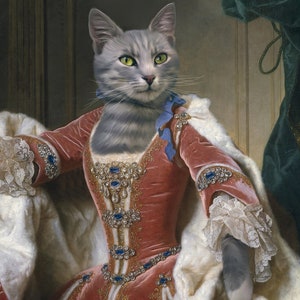May include: A gray cat dressed in a pink velvet gown with a white fur trim. The gown is adorned with gold embroidery and blue jewels. The cat is wearing a blue ribbon around its neck.