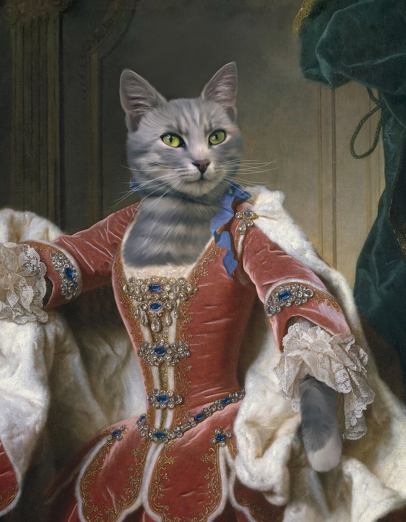 May include: A gray cat dressed in a pink velvet gown with a white fur trim. The gown is adorned with gold embroidery and blue jewels. The cat is wearing a blue ribbon around its neck.