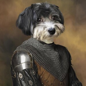 K&ouml;nnte beinhalten: Ein schwarz-wei&szlig;er Hund, der als Ritter in Kettenhemd-R&uuml;stung verkleidet ist. Der Hund tr&auml;gt eine braune Leder-Tunika mit silbernen Akzenten und einen Kettenhemd-Kragen. Der Hund schaut nach rechts im Bild.