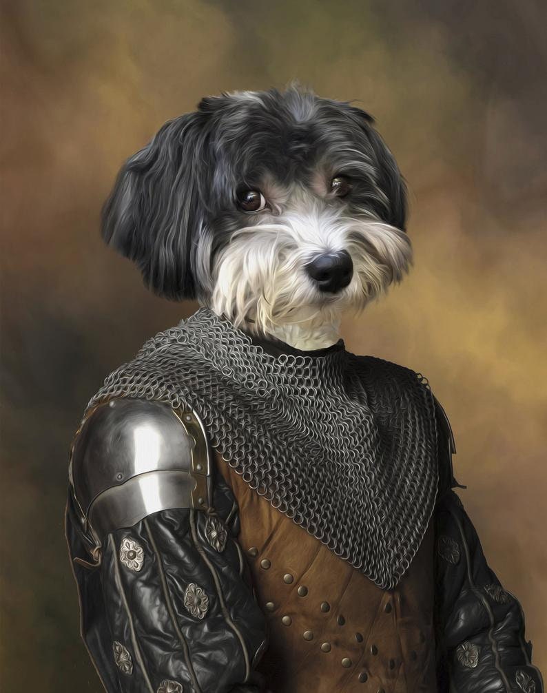 K&ouml;nnte beinhalten: Ein schwarz-wei&szlig;er Hund, der als Ritter in Kettenhemd-R&uuml;stung verkleidet ist. Der Hund tr&auml;gt eine braune Leder-Tunika mit silbernen Akzenten und einen Kettenhemd-Kragen. Der Hund schaut nach rechts im Bild.