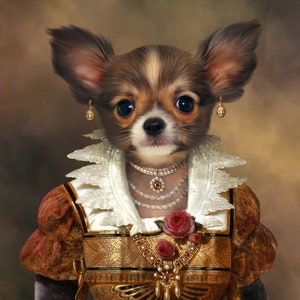 May include: A small brown and white chihuahua wearing a white lace collar and a gold and red dress with a pearl necklace and a rose.