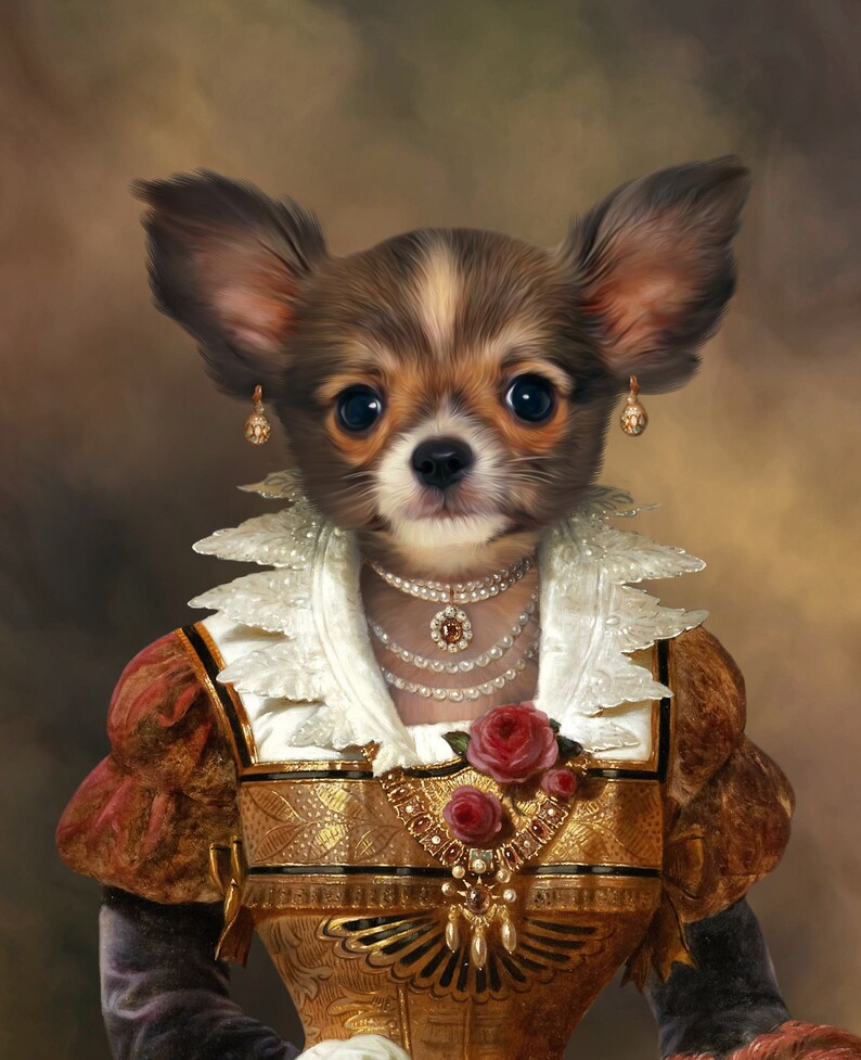 May include: A small brown and white chihuahua wearing a white lace collar and a gold and red dress with a pearl necklace and a rose.