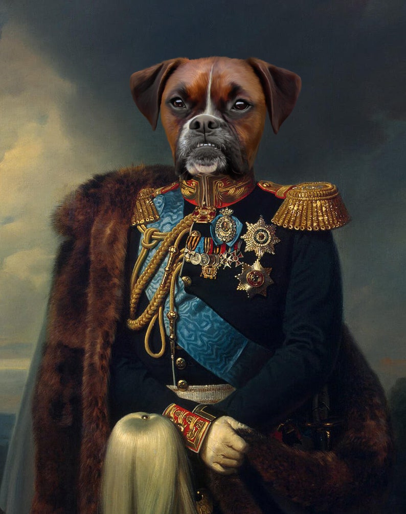 May include: A brown and white boxer dog dressed in a military uniform with a fur-trimmed coat. The dog is wearing a blue sash and many medals. The background is a dark blue and gray.