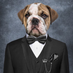 Anpassat husdjursporträtt i smoking, Rolig husdjurspresent, Husdjurs Bond-porträtt, Bond-parodi bild 5