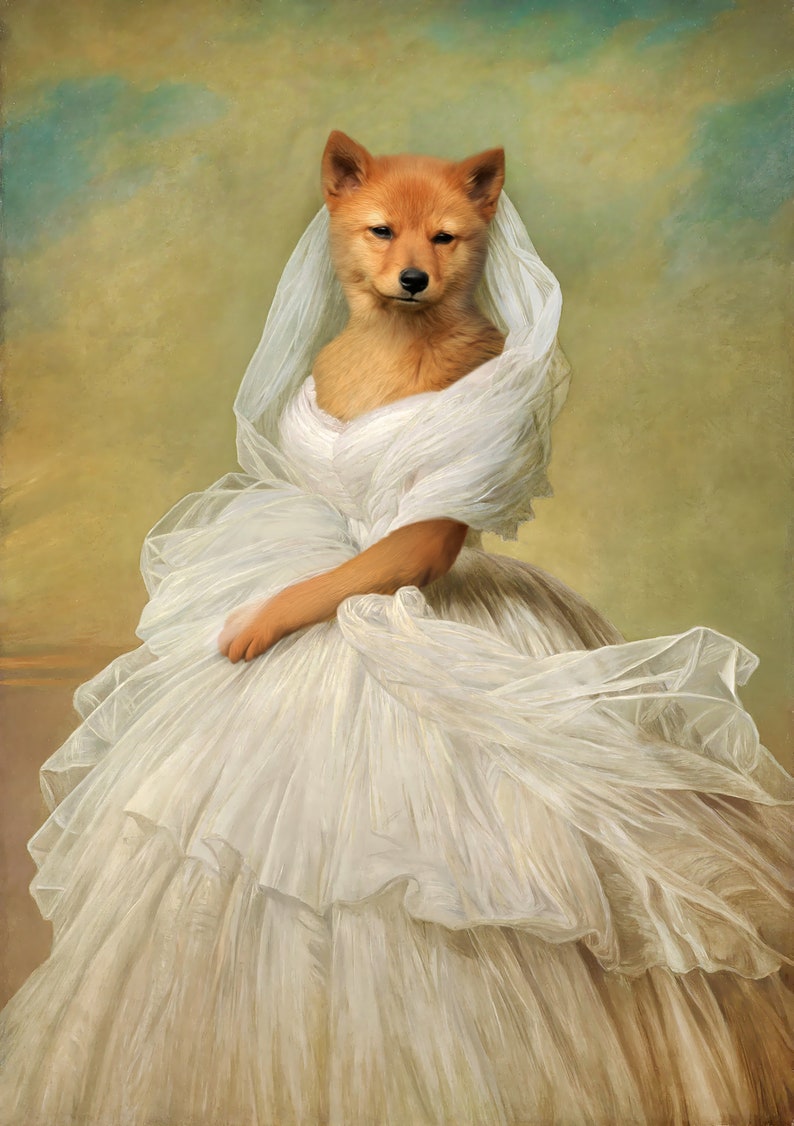 May include: A dog dressed in a white wedding gown with a long veil. The dog is a Finnish Spitz with a reddish-brown coat. The dog is standing on a light brown background.