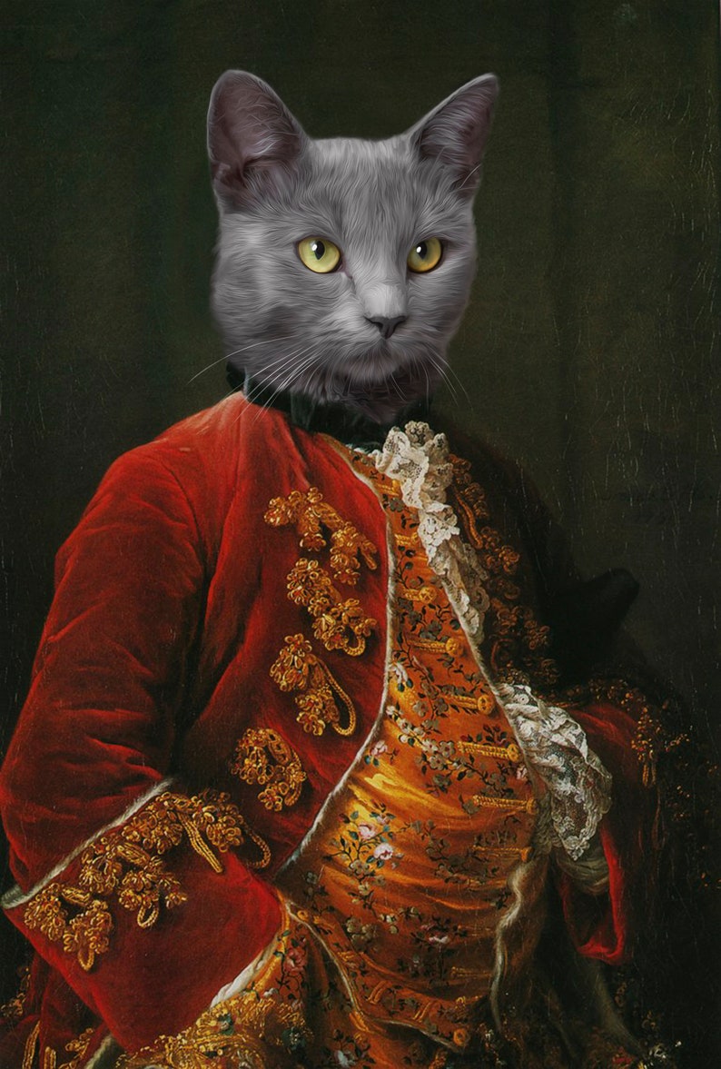 May include: A gray cat wearing a red and gold embroidered jacket with a white lace collar. The cat is posed in a portrait style, similar to a human portrait.
