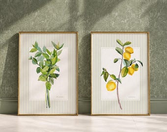Wandbild mit Salbeistreifen, botanischer Vintage-Gartendruck, Aquarell-Kräuterposter-Set, Küchen- und Esszimmerdekoration