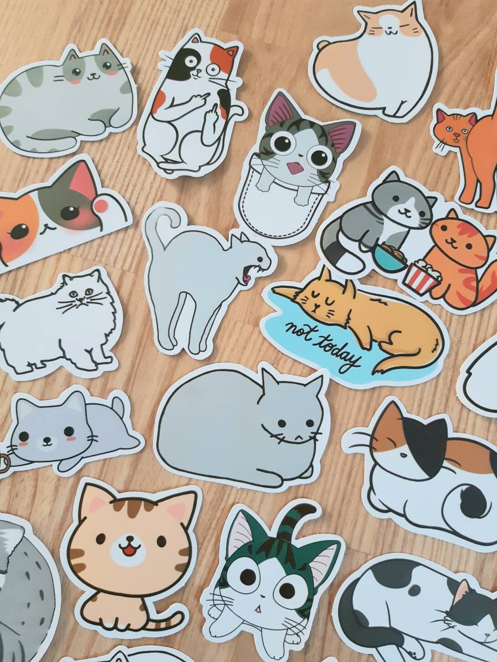 Cute Cat Stickers / Cat Laptop Stickers / Funny Cat Sticker / Etsy