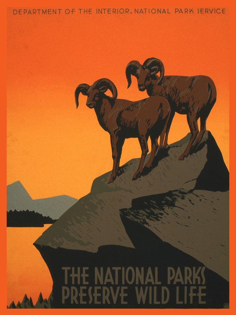 National Parks Preserve Wild Life Bighorn Sheep North America Native USA Travel Vintage Poster Repro FREE Shipping in USA Shipped Rolled-Up
