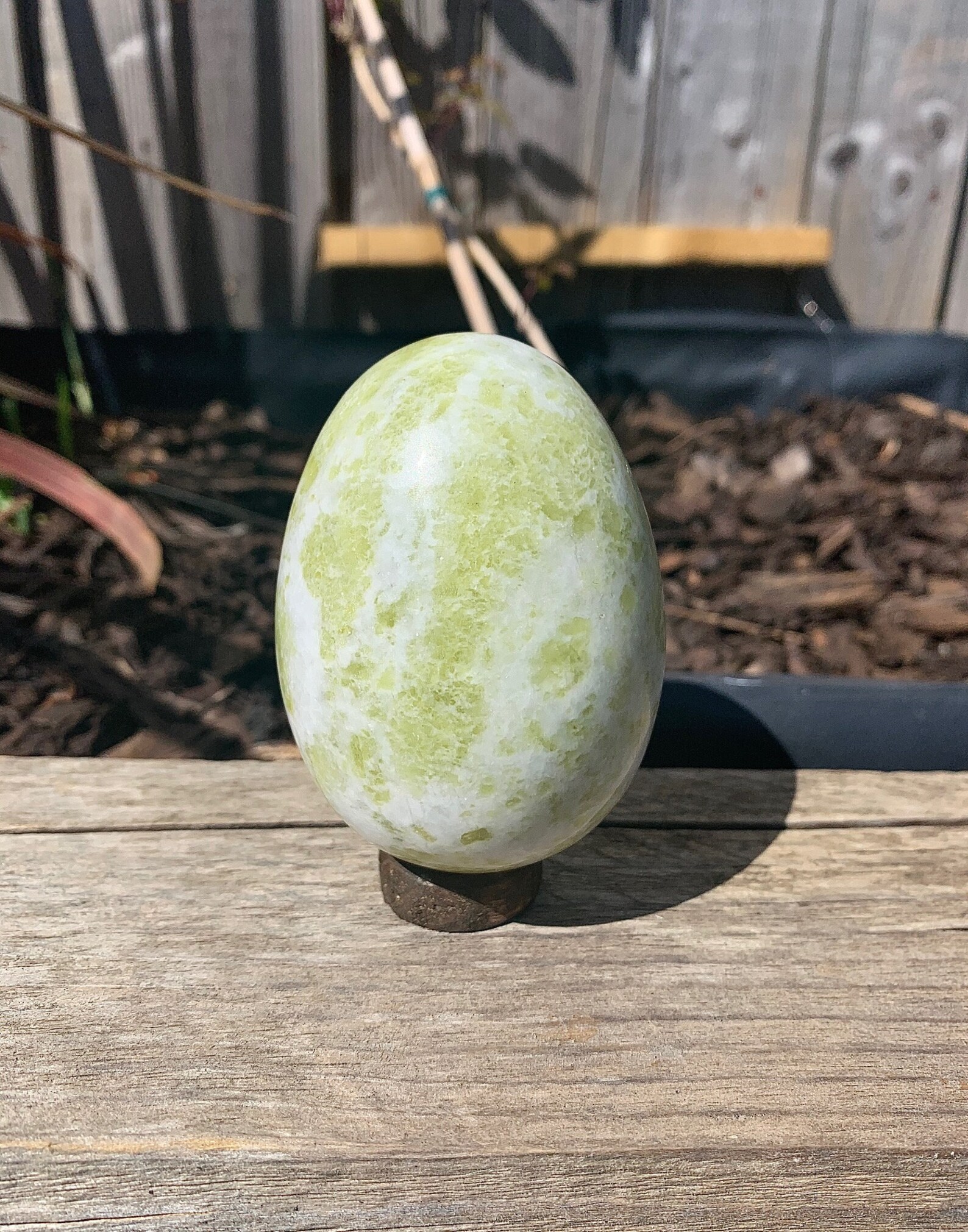 Large Jade crystal egg with wooden stand Etsy