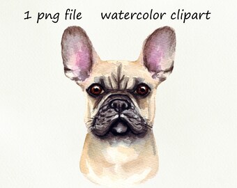 Dog clipart watercolor, digital download. French bulldog clipart digital prints. Commercial PNG Printable illustration.