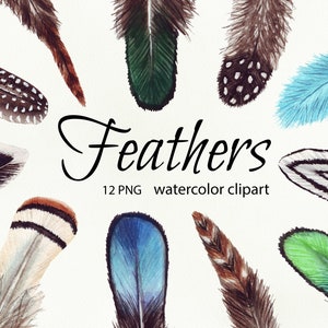 Clipart de penas em aquarela, conjunto de penas boho de pássaros, clipart de convite de casamento, clipart de decoração tribal, clipart boho, digital PNG