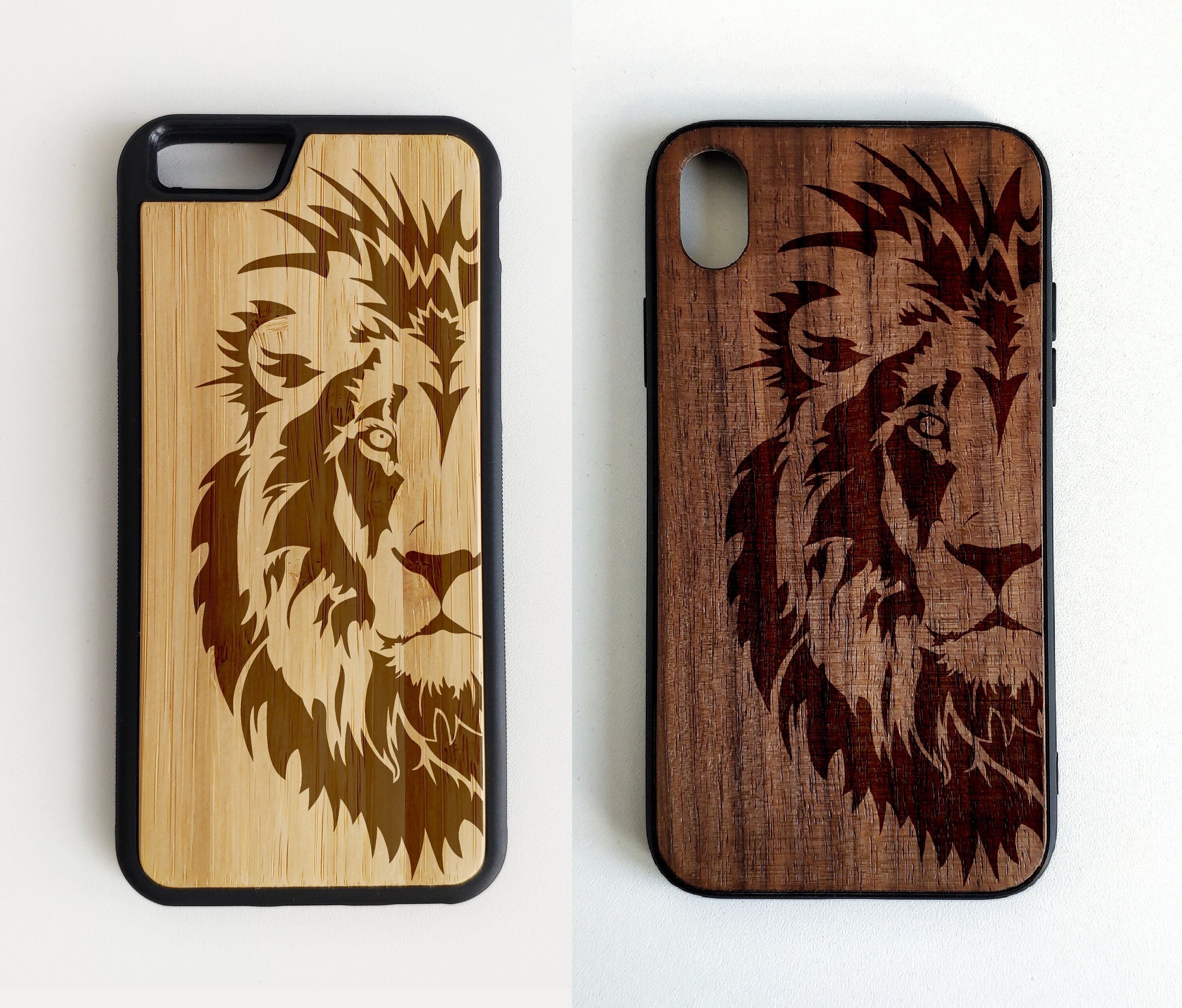 Lion cases