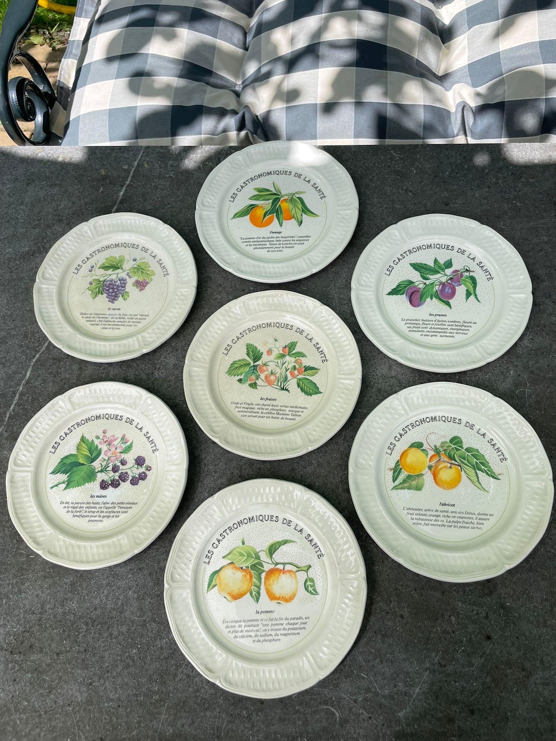 Vintage Gien France Pastry Plates, Les Gastronomiques De La Santé