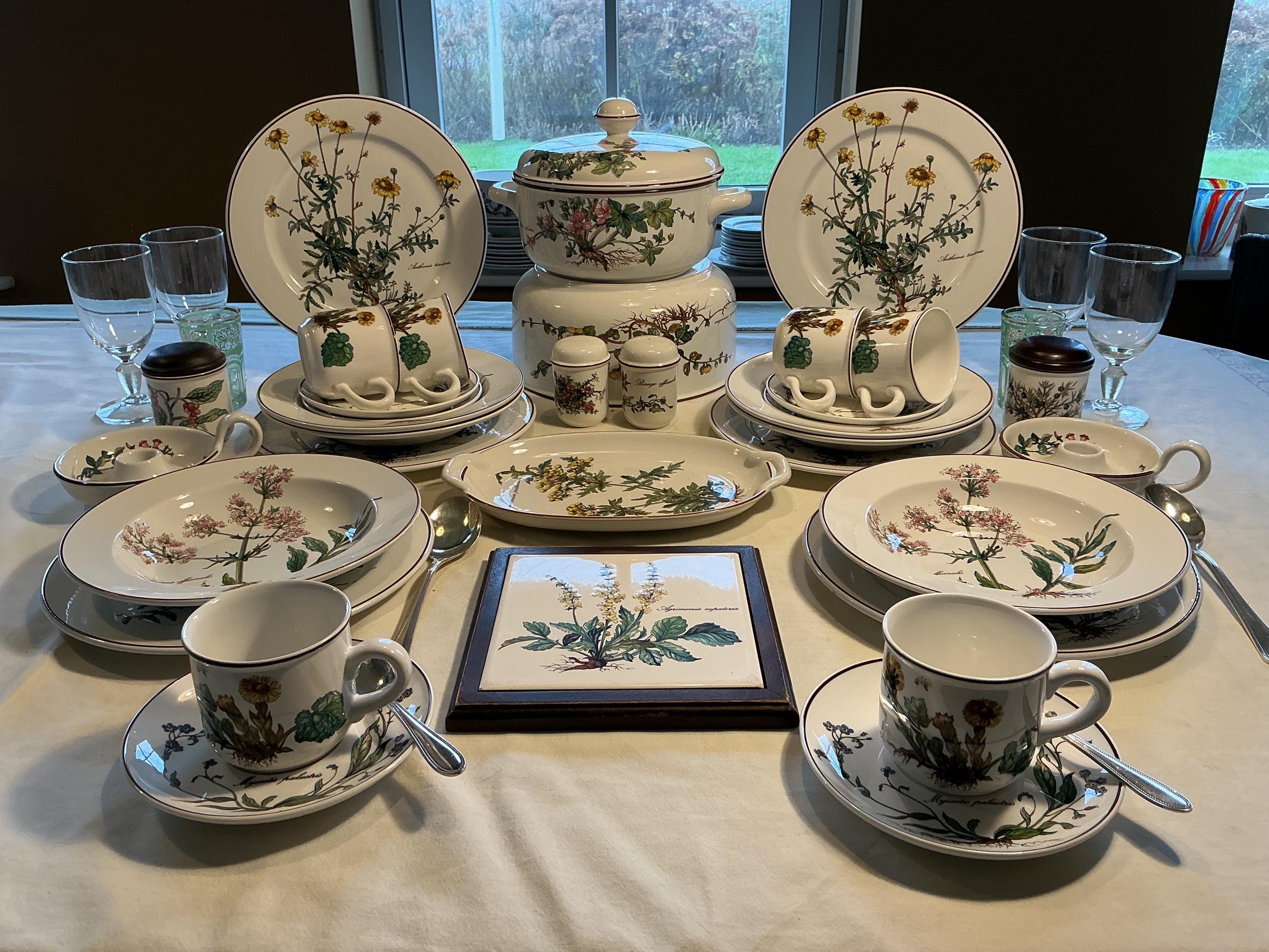 Villeroy & Boch Botanica Dinner Servies for 6 Place Settings