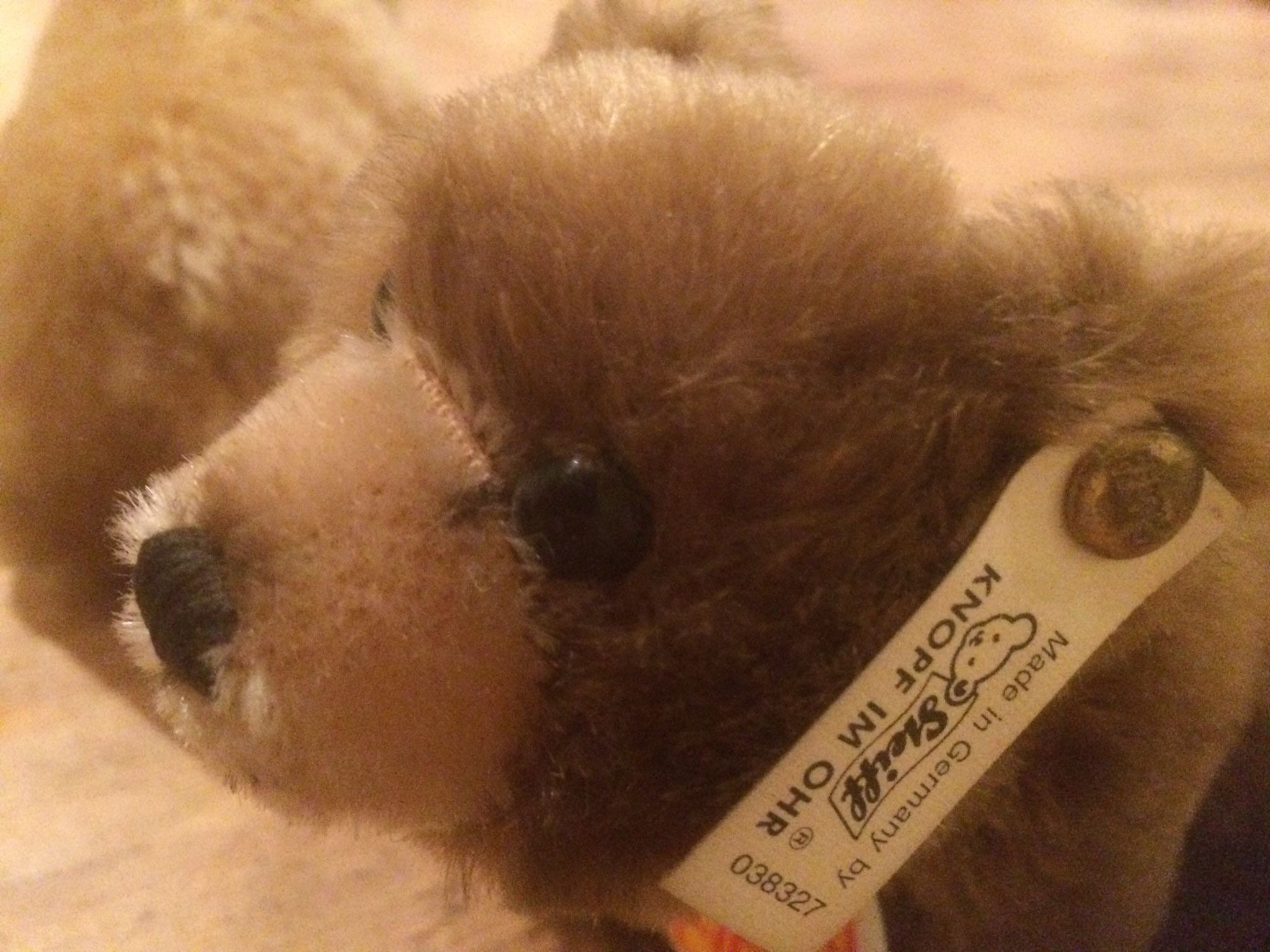 Steiff Noah's Ark 8000体限定 同一シリアル ペア 12cm Steiff Noah's