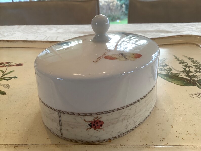 Op de afbeelding: Witte keramische sieradendoos met een deksel met een vlinder en de tekst "Anthocharis cardamines". De doos heeft een ronde, witte knop bovenop en een decoratieve band met een lieveheersbeestjesontwerp.
