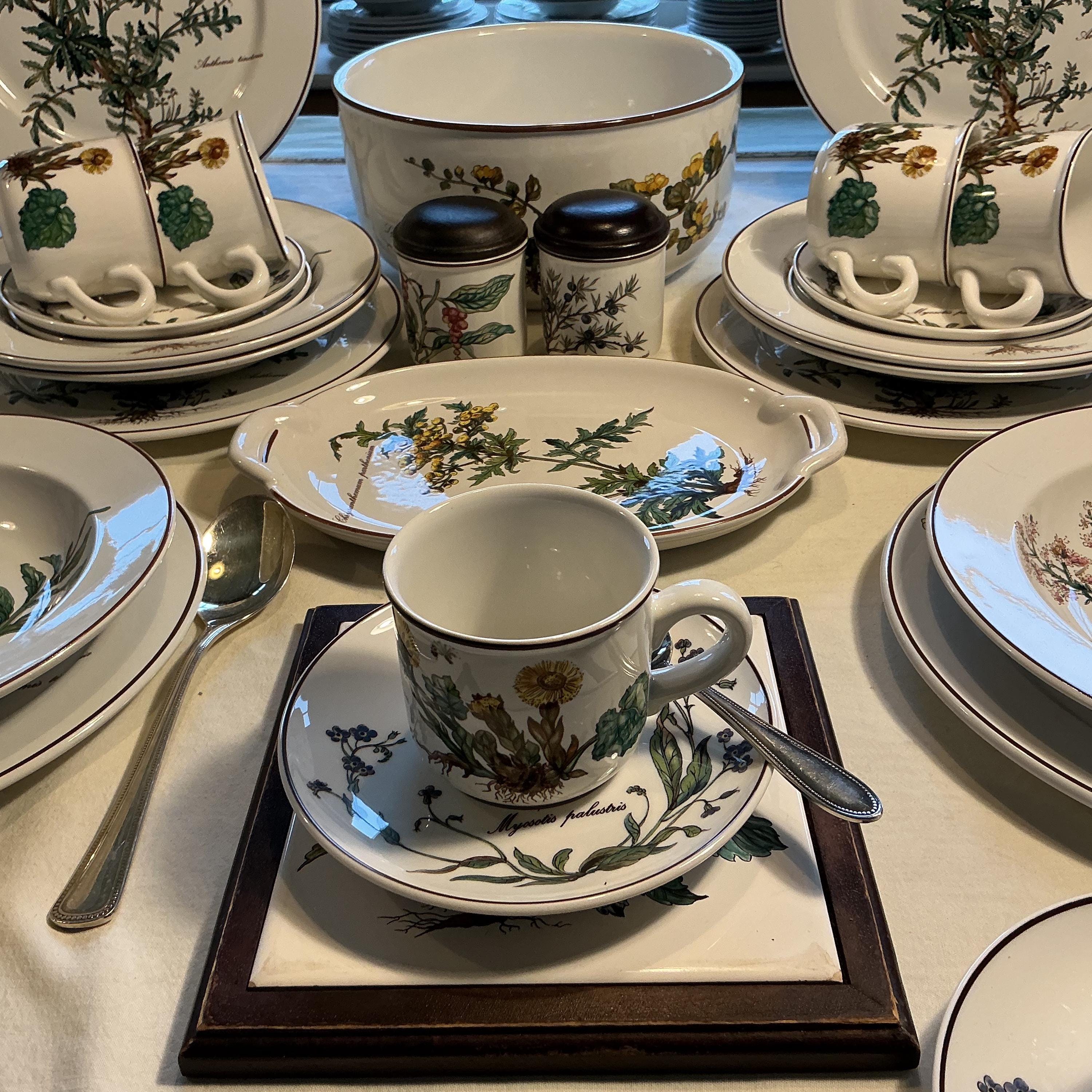 Villeroy & Boch Botanica Dinner Servies for 6 Place Settings