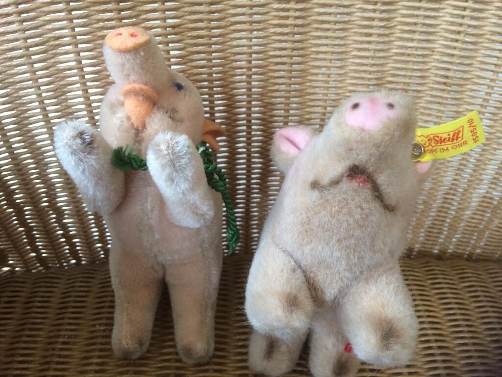 Steiff Pigs Jolanthe 1310/08 and Piggy 1505/10 Collectors - Etsy