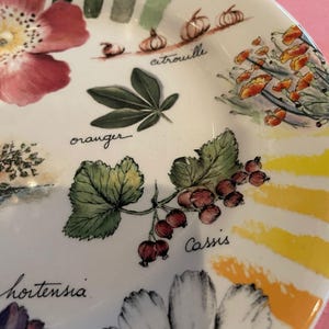 Puede incluir: Un plato de cer&aacute;mica blanca con ilustraciones bot&aacute;nicas coloridas de flores y frutas, incluyendo una flor rosa grande, grosellas rojas etiquetadas como Cassis, flores de naranjo y calabazas, con detalles de pinceladas en color amarillo.