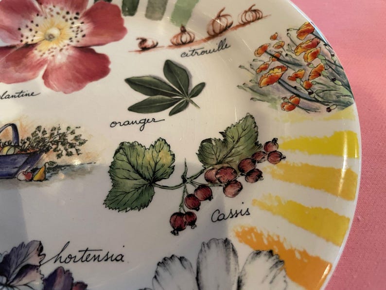 Puede incluir: Un plato de cer&aacute;mica blanca con ilustraciones bot&aacute;nicas coloridas de flores y frutas, incluyendo una flor rosa grande, grosellas rojas etiquetadas como Cassis, flores de naranjo y calabazas, con detalles de pinceladas en color amarillo.