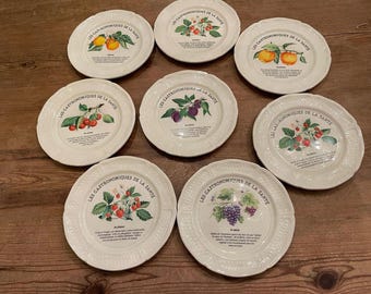 Gien Les Gastronomiques de la Santé les prunes ペストリー Gien Les Gastronomiques de la Santé les prunes ペストリー