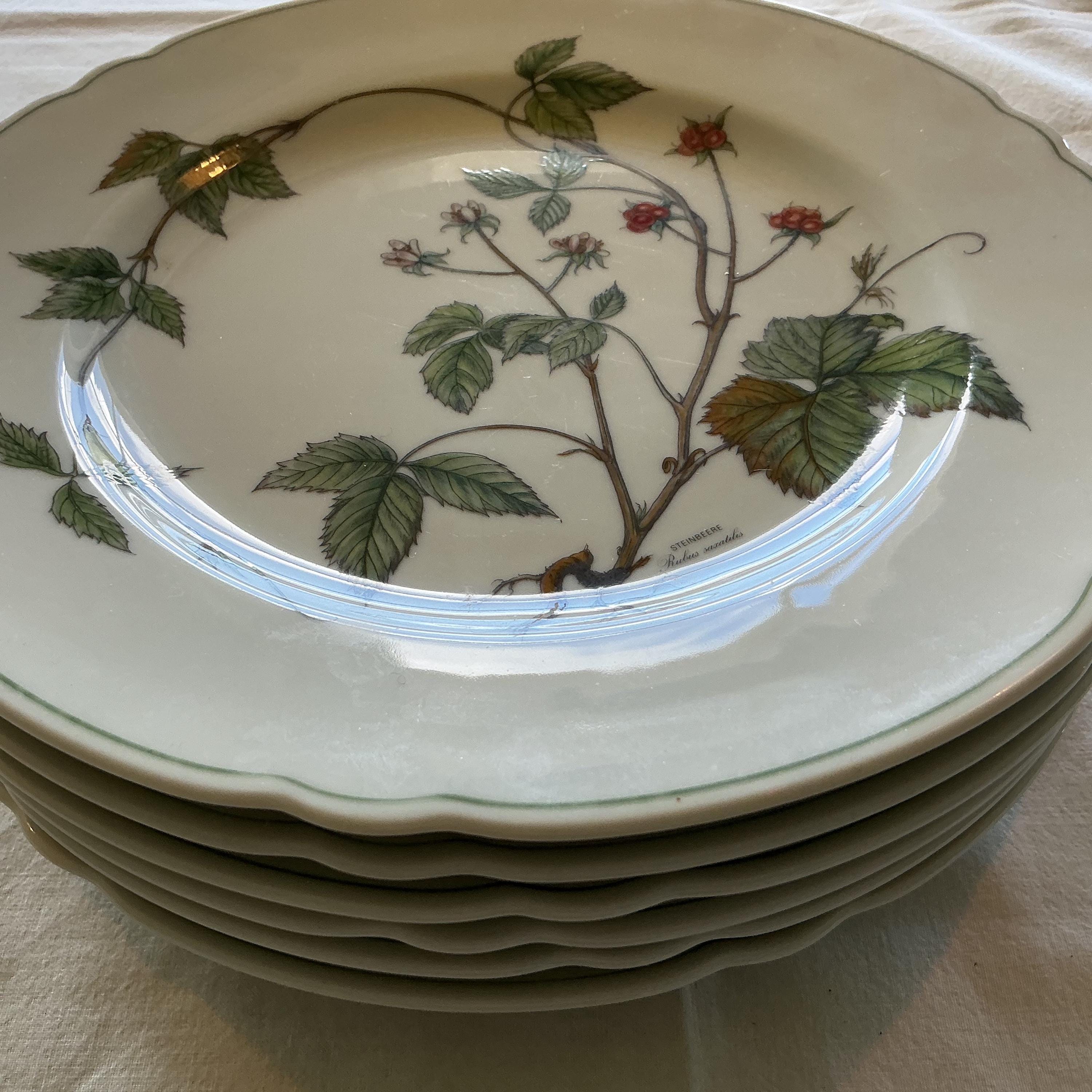 Seltmann Weiden Marie-Luise Waldbeere 磁器ディナーとスーププレート 