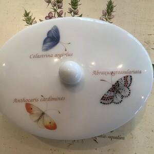 Op de afbeelding: Witte ovale keramische schoteldeksel met een ronde knop. De deksel is versierd met drie vlinderillustraties en hun wetenschappelijke namen: Celastrina argiolus, Anthocaris cardamines en Abraxus grossulariata.