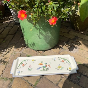 May include: A rectangular serving tray with a white surface and a blue border. The tray is decorated with a colourful bird and floral design. A green potted plant with red flowers is in the background.